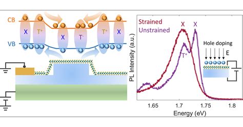 Charge Separation In Monolayer Wse By Strain Engineering Implications