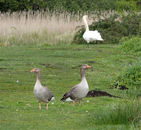 Bezoek Attleborough Het Beste Van Reizen Naar Attleborough Engeland