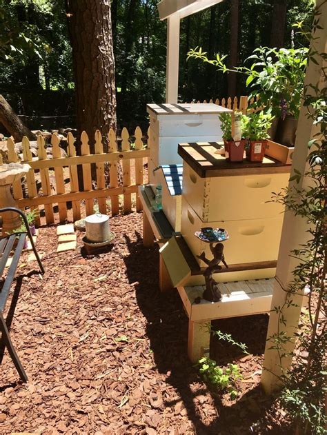 Setting Up Your Bee Hive Backyard Bee Backyard Beekeeping Bee Keeping