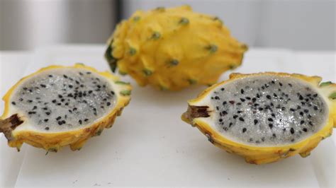 How To Eat Yellow Dragon Fruit Pitahaya Pitaya Taste Test YouTube