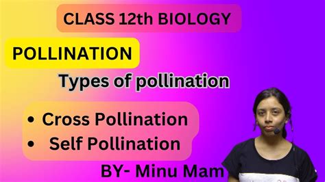 Class Th Biology Pollination Cross Pollination And Self Pollination