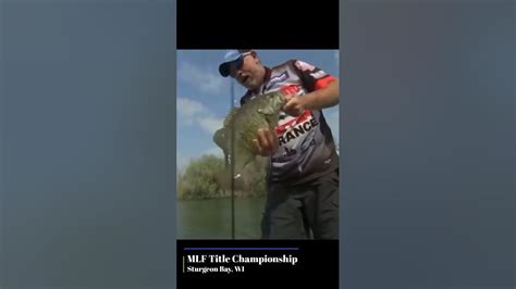 Giant Smallmouth At The Mlf Championship Youtube