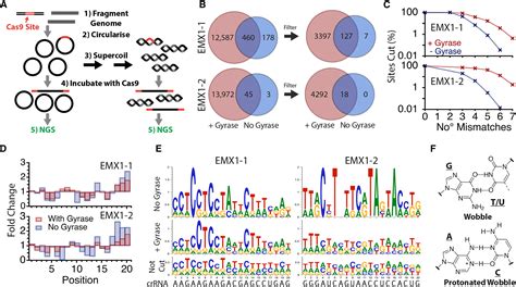 Negative DNA Supercoiling Induces Genome Wide Cas9 Off Target Activity