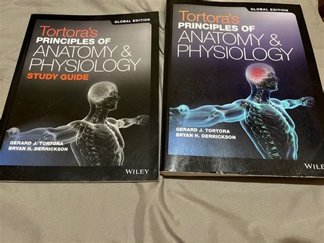 Tortora S Principles Of Anatomy And Physiology Hobbies Toys Books