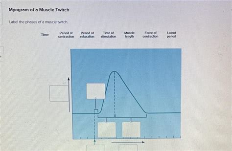 Solved Myogram of a Muscle Twitch Label the phases of a | Chegg.com