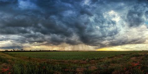 Tempestade Sobre Um Campo Verde Papoulas Nas Tiras De Primeiro