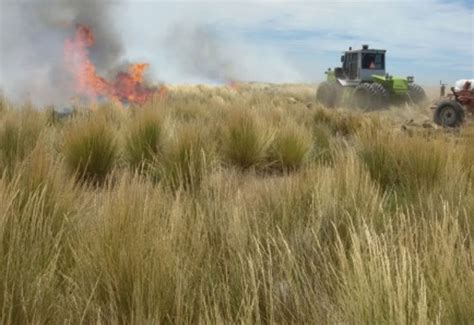 Declaran Emergencia Agropecuaria En Tres Provincias Supercampo