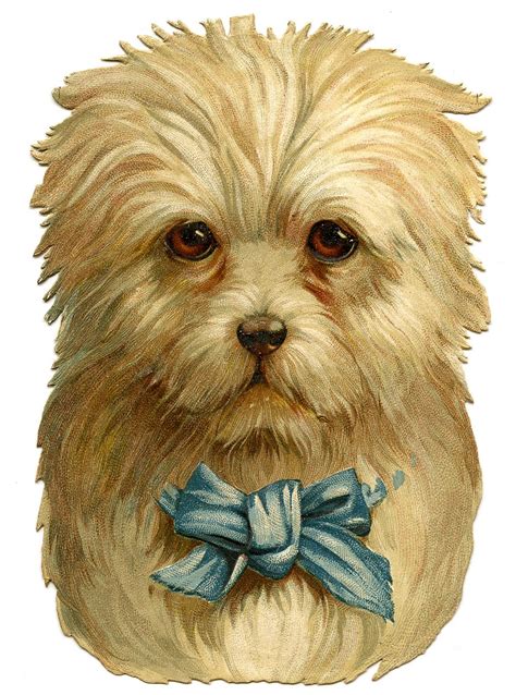 Add A Touch Of Nostalgia With Victorian Animal Cliparts