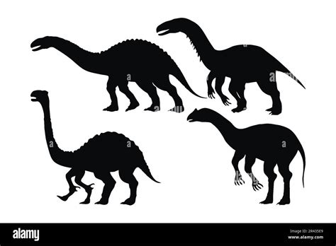 Dinosaur Silhouette Vector Collection On A White Background Beautiful