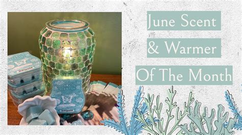 June 2023 Scent Warmer Of The Month YouTube