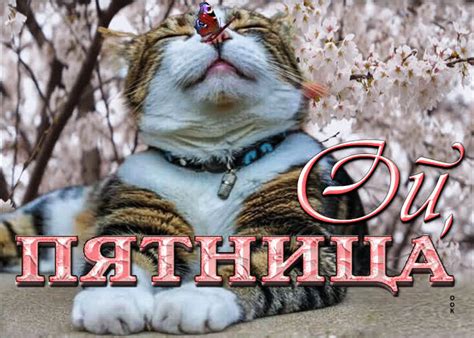 Очаровательная открытка Ой, пятница- Скачать бесплатно на otkritkiok.ru