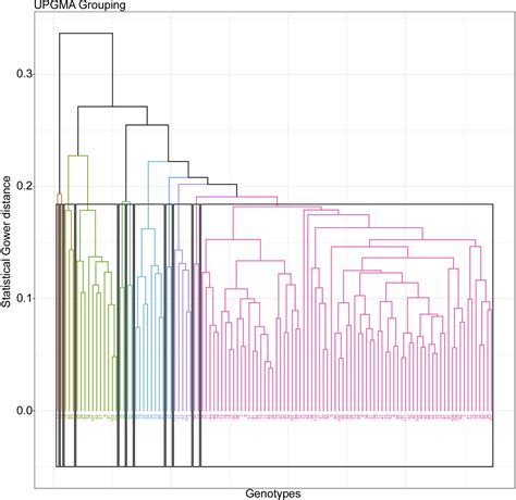 SciELO Brasil Initial Performance And Genetic Diversity Of Coffee