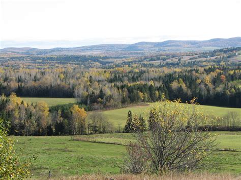 Eco burial options will be the next step for ostrander funeral home 21