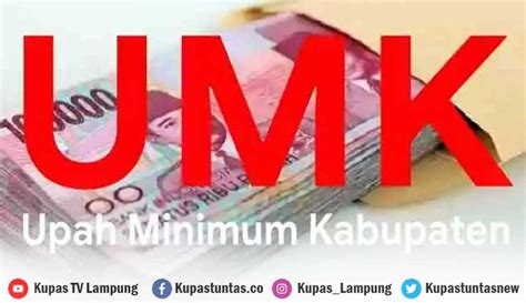 Kupas Tuntas Berikut Besaran Umk Kab Kota Di Lampung Daerah