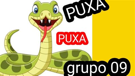 PUXADA Da COBRA Atualizada Grupo 09 JOGO DO BICHO YouTube