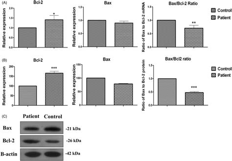 Expression Of Bcl 2 Bax And Baxbcl 2 Ratio In Systemic Sclerosis N ¼ Download Scientific