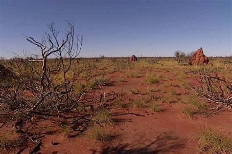 Tanami Desert - Alchetron, The Free Social Encyclopedia