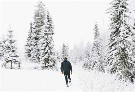 Rear View Of Man Walking Through Snow Twenties Outside Stock Photo