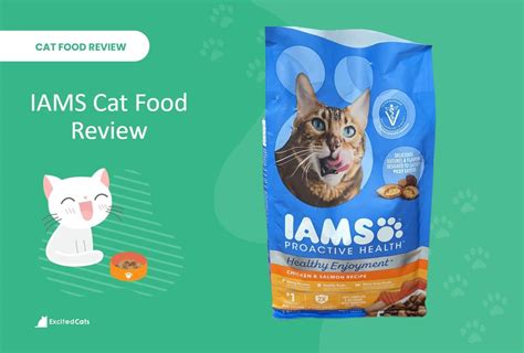 Iams Pet Food Recall 2024 List Adan Lissie