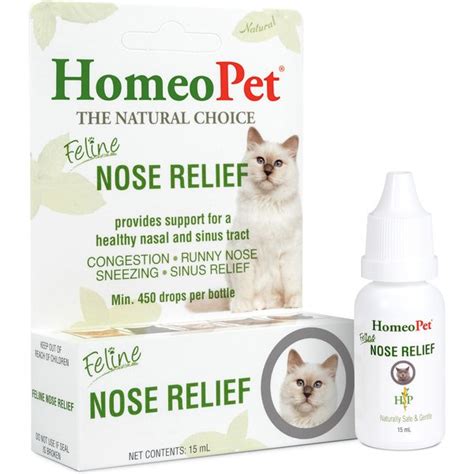 8 Best Cat Cough And Cold Remedies 2025 According To Reviews Chewy