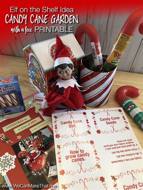 Free Elf On The Shelf Idea Candy Cane Garden Printable We Can Make