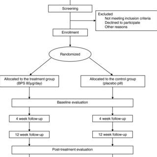 Study algorithm. BPS, beraprost sodium. | Download Scientific Diagram