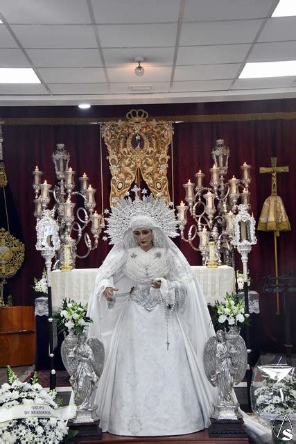 Provincia Galería Besamanos a la Virgen de la Paz de Dos Hermanas