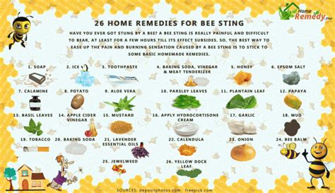 26 Home Remedies for Bee Sting - Home Remedies