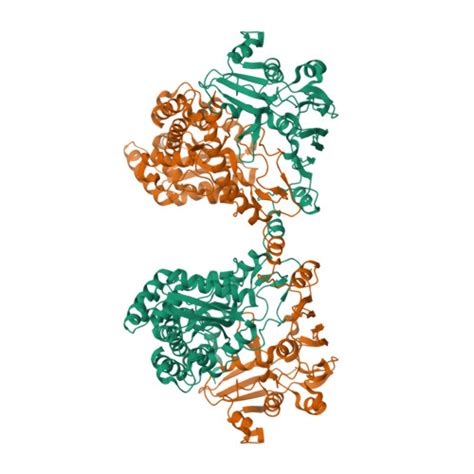 RCSB PDB 8QLH Crystal Structure Of The Pneumococcal Substrate