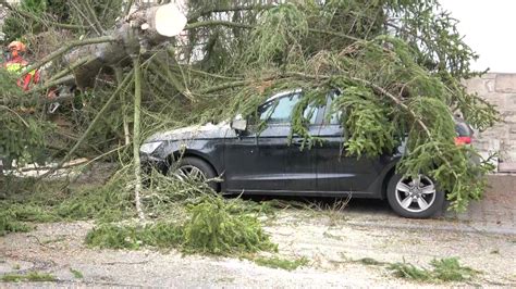 NonstopNews 15 Meter großer Baum fällt quer auf Straße Baum