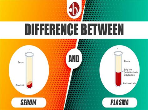 Serum Vs Plasma Key Differences Composition And Clinical Uses