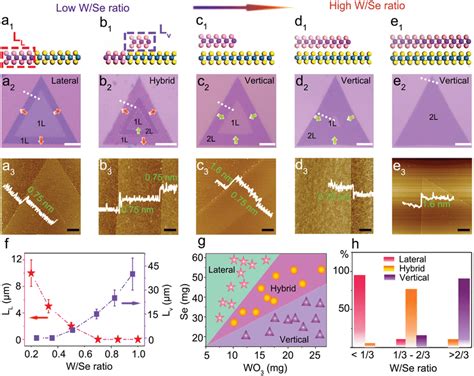 Atomic Structures Morphologies Of Mos Wse Heterostructures And