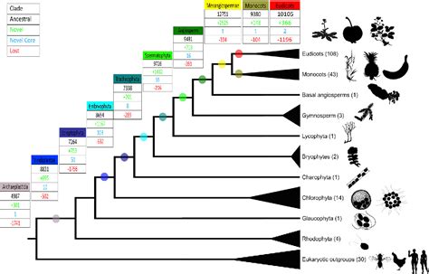 Pdf The Origin Of Land Plants Is Rooted In Two Bursts Of Genomic