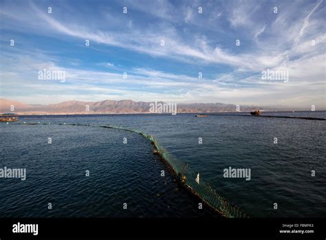 Israel Eilat Dolphin Reef Beach Stock Photo Alamy