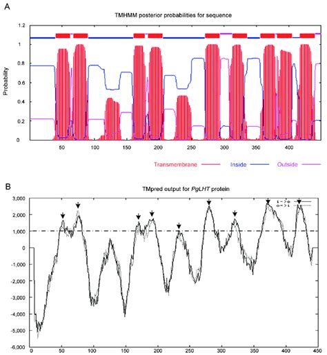 Results Of Transmembrane Helices Prediction By Tmhmm And Tmpred A