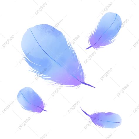 Penas Roxas Png Pluma Azul Roxo Penas Minimalistas Desenhadas à Mão