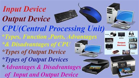 Computer Input Device Output Device Cpu Central Processing Unit