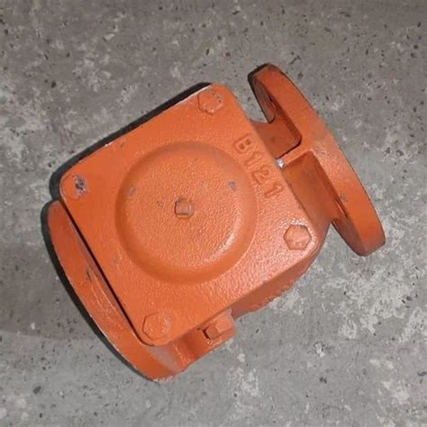 Cast Iron Reflux Valves At Rs Piece Dehradun Id