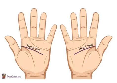 Palm Reading Guide How To Read Palms And Understand Your Personality