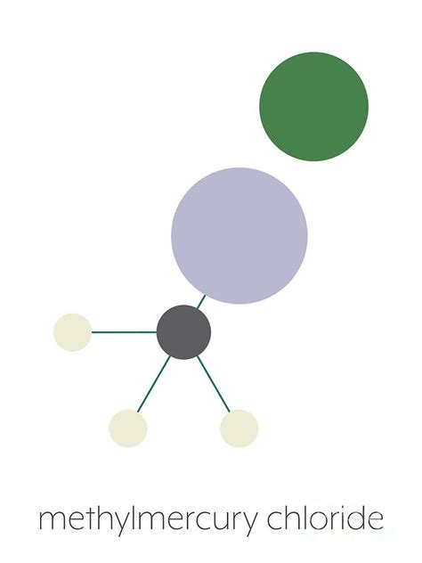 Methylmercury Cation Environmental Pollutant Photograph By Molekuul