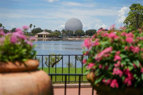 Wdwnt Weekly Recap Halloween Merchandise Arrives At Walt Disney World