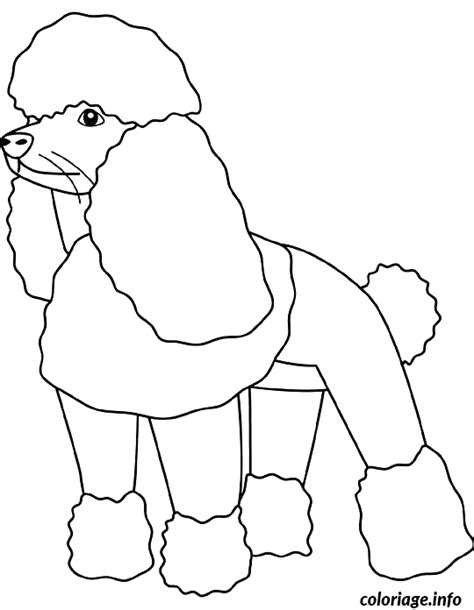 Coloriage Dessin Chien Caniche Dessin