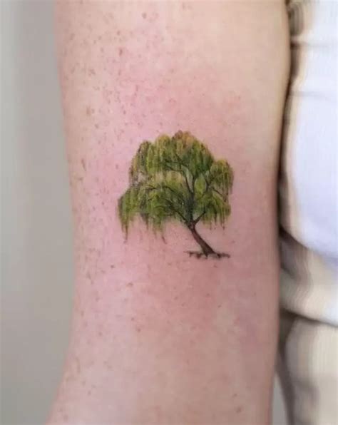 Oak Tree Tattoo Meaning: The Deeper Meanings Behind Popular Tattoo Designs