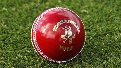 What are different kinds of balls used in Test Cricket? - Cricketkeeda ...