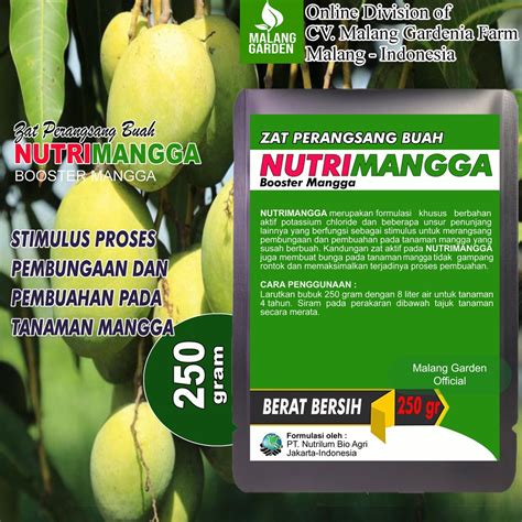 Jual Zat Perangsang Buah NUTRIMANGGA 250 Gram Pupuk Booster Pelebat