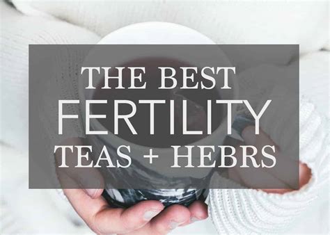 The Best Fertility Tea And Herbs How They Can Help You Conceive Bless Our Littles