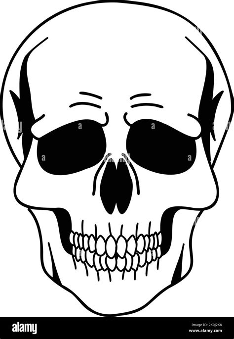 Hand Drawn Front Skull Illustration Isolated On Background Stock Vector