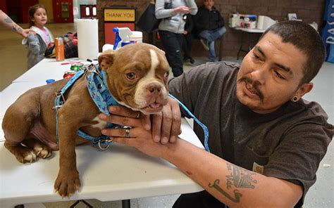 Española Humane Pet Adoptions and Spay/Neuter in New Mexico