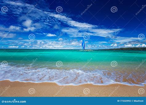 Beach Sailboat And Tropical Sea Stock Photo Image Of Romantic
