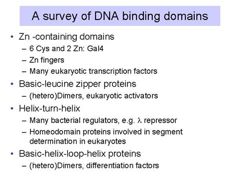 DNA Binding Domains And Activation Domains Of Transcription